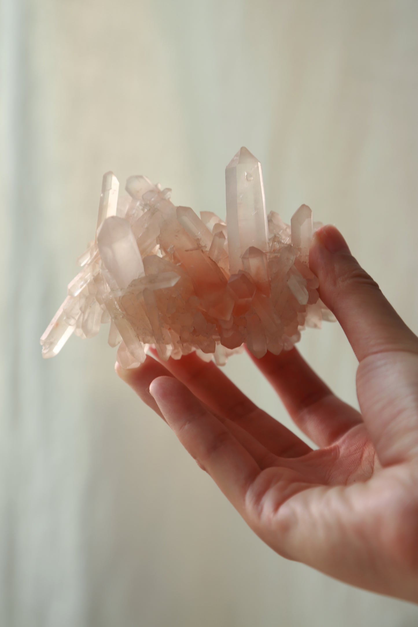 Pink Himalayan Samadhi Quartz DT Cluster