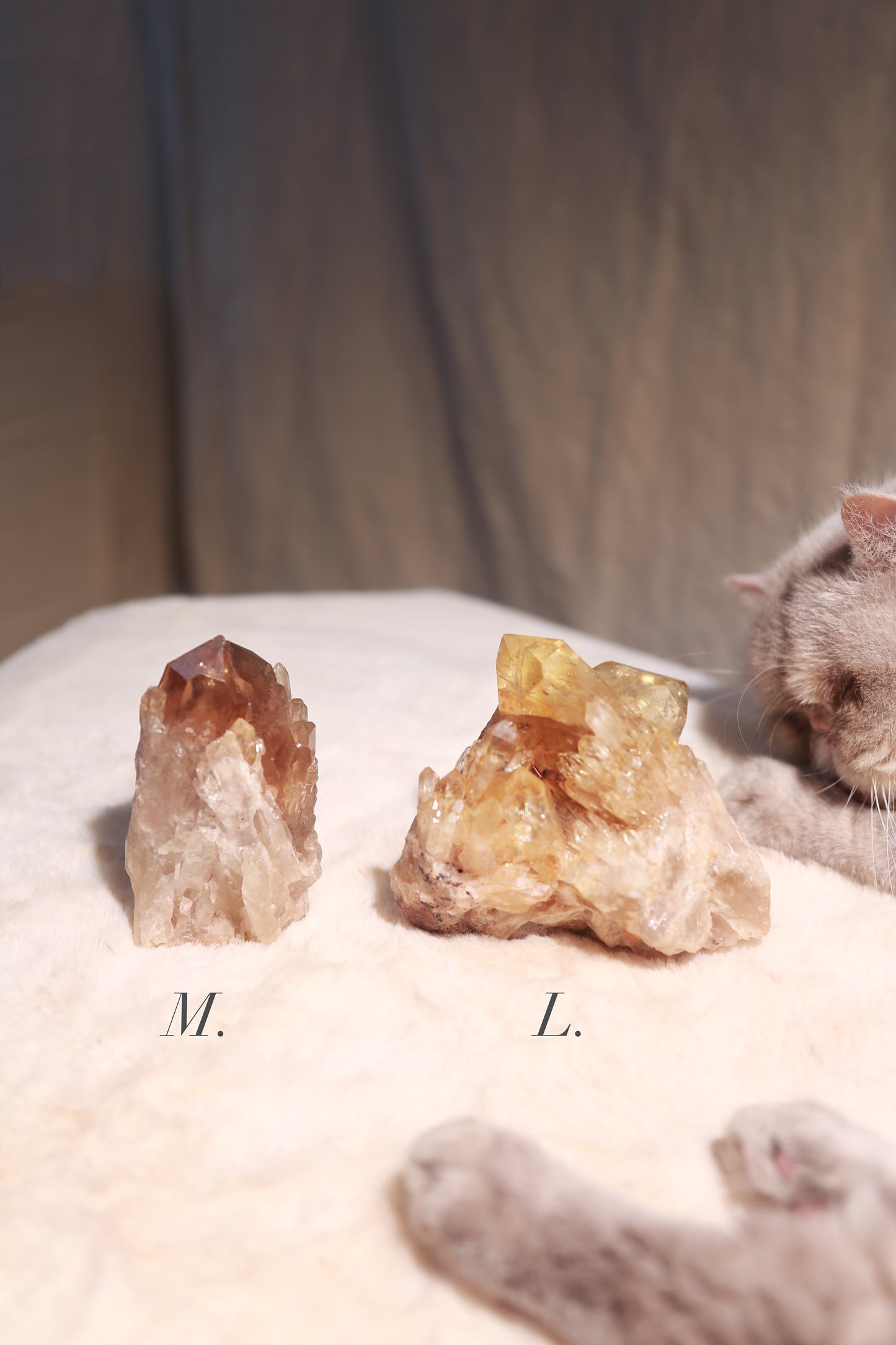 Congo Citrine Cathedral Cluster