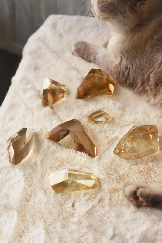 High Quality Citrine Freeform