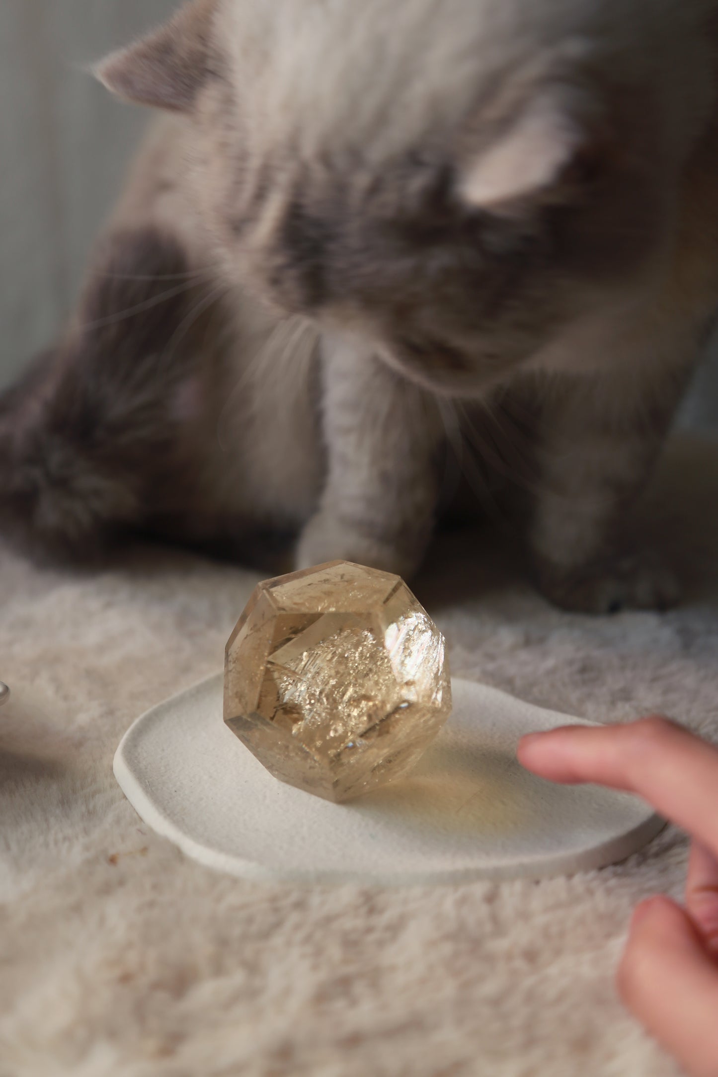 Champagne Citrine Faceted Meatball