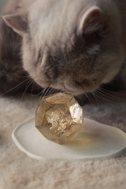 Champagne Citrine Faceted Meatball