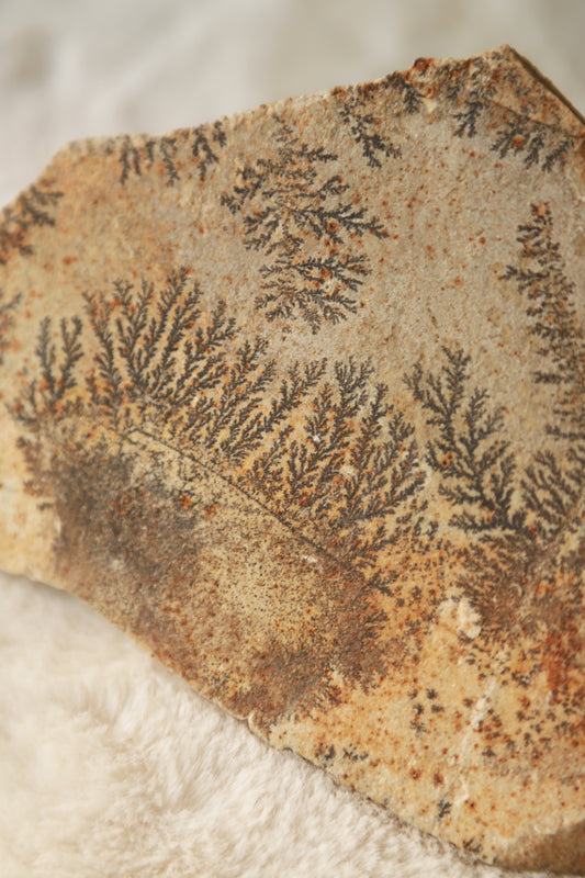 Dendritic Picture Stone Raw Specimen