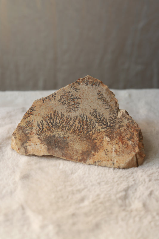 Dendritic Picture Stone Raw Specimen