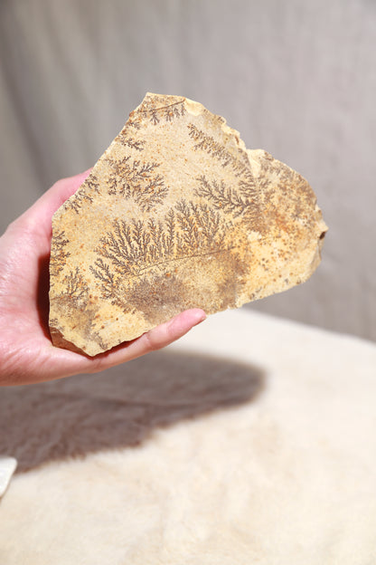 Dendritic Picture Stone Raw Specimen