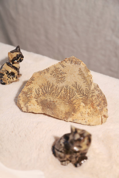 Dendritic Picture Stone Raw Specimen