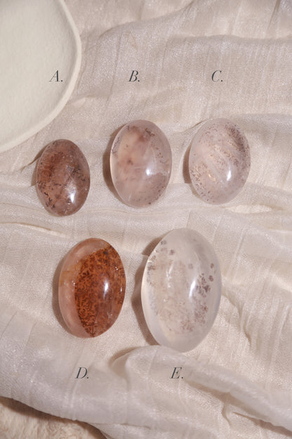 Dendritic Girasol/Golden Healer Palm