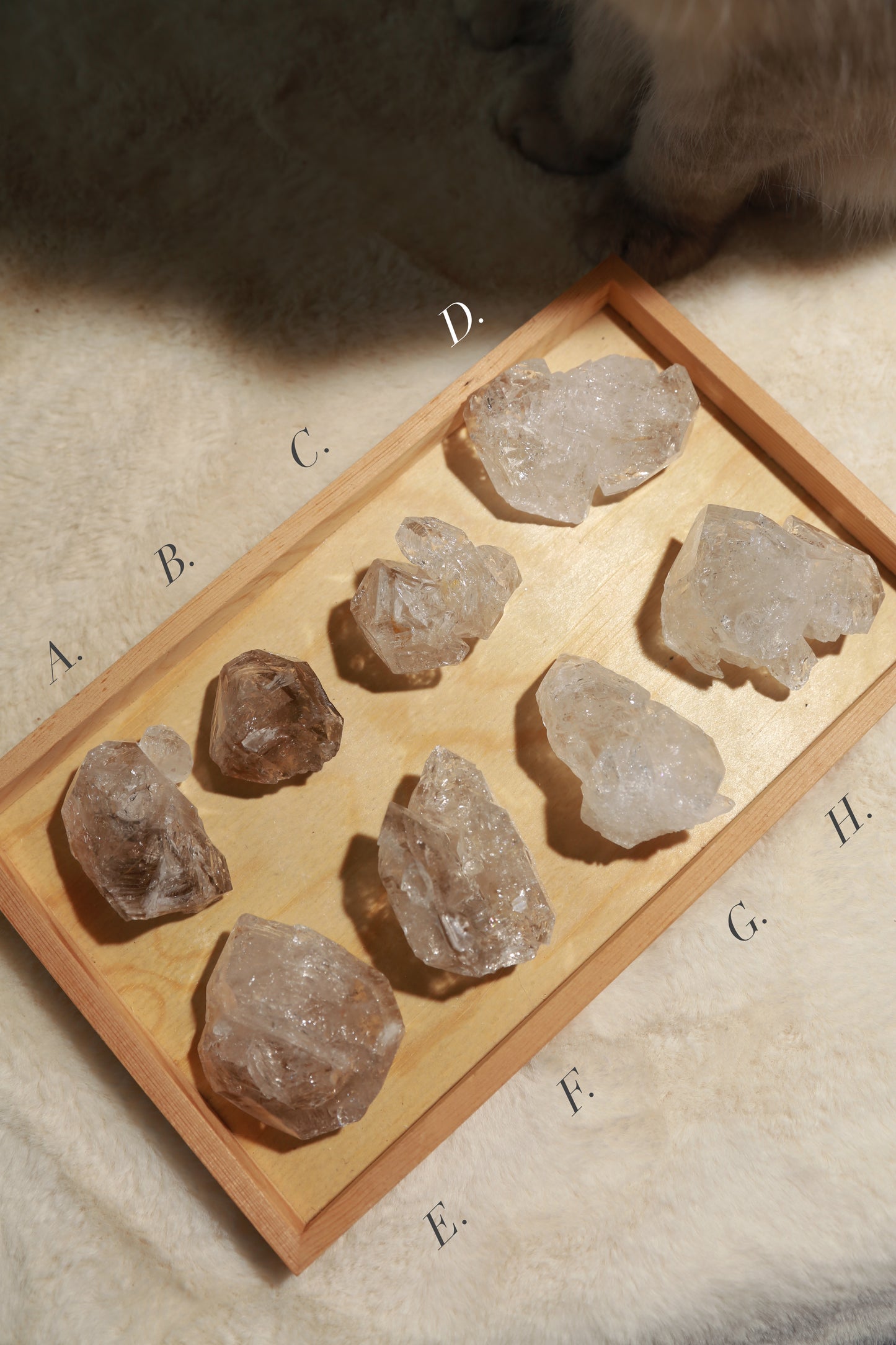 Fenster Elestial Quartz - Pakimer Diamond Quartz Cluster