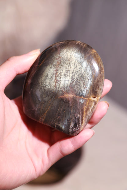 Golden Sheen Black Moonstone Freeform