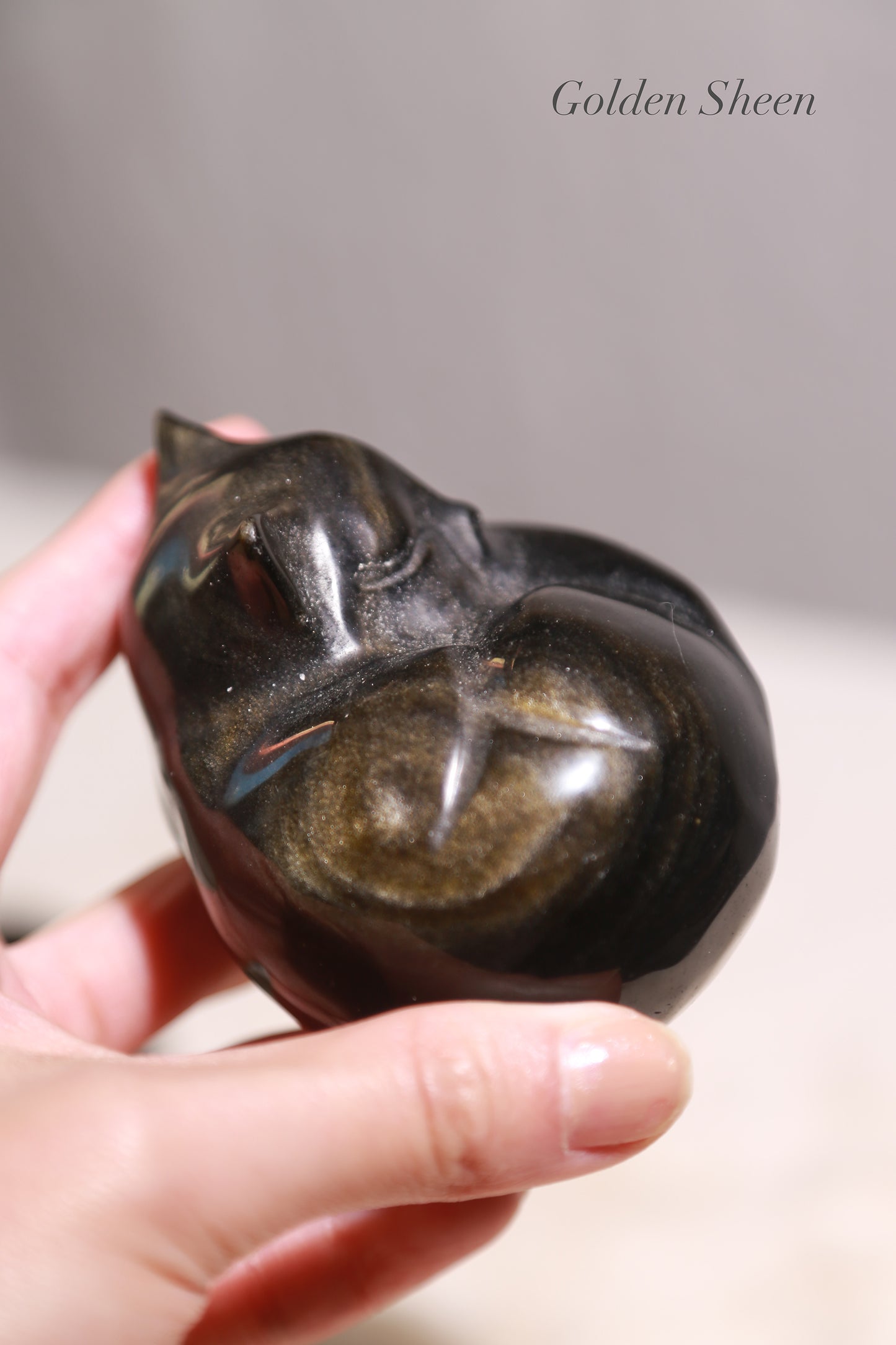 Golden / Silver Sheen Obsidian Goodnight Cat