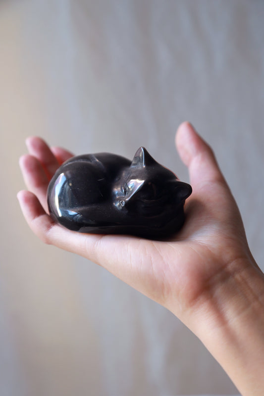 Golden / Silver Sheen Obsidian Goodnight Cat