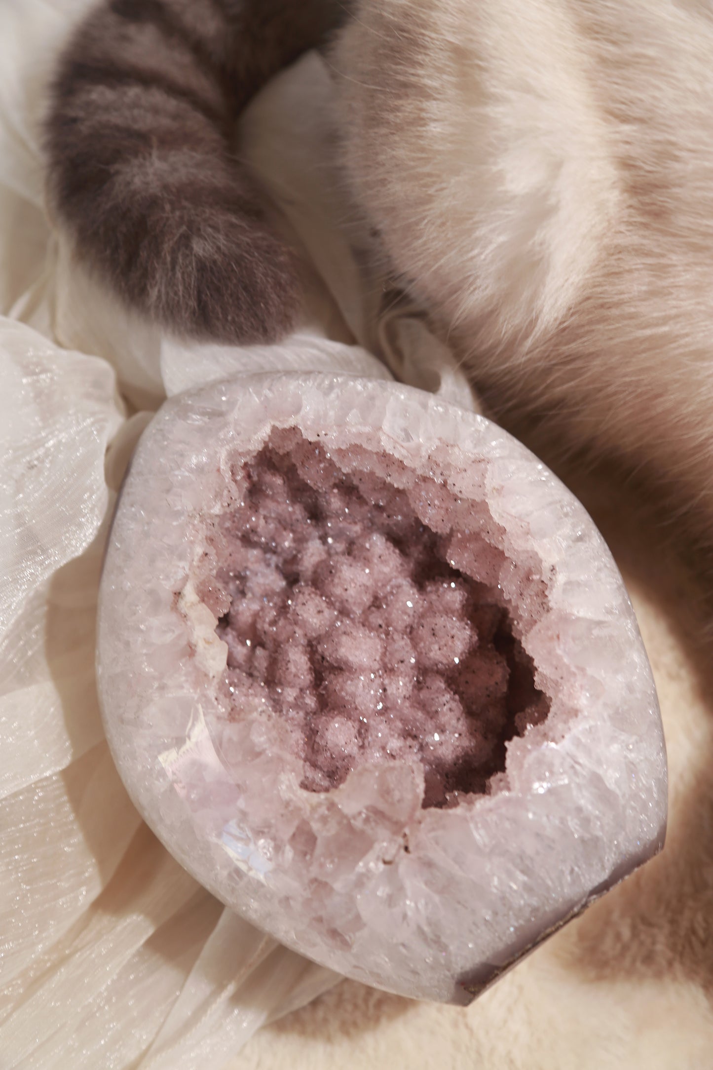 Pink Sugar Druzy Rainbow Amethyst Large Freeform