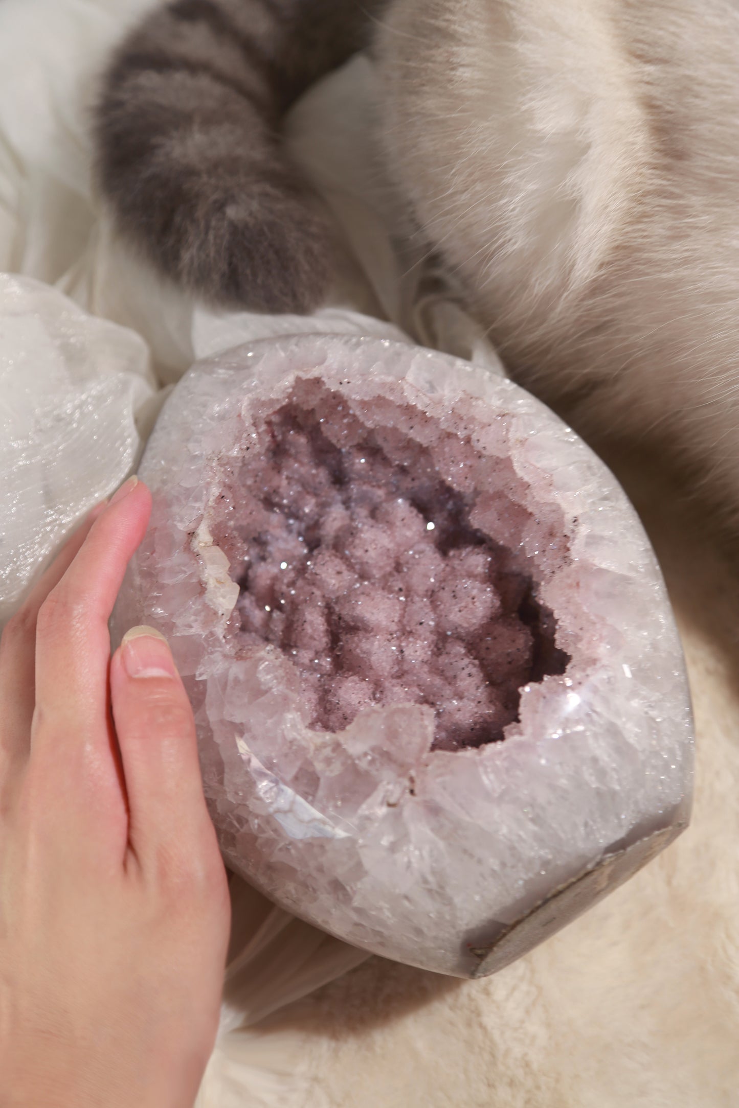 Pink Sugar Druzy Rainbow Amethyst Large Freeform