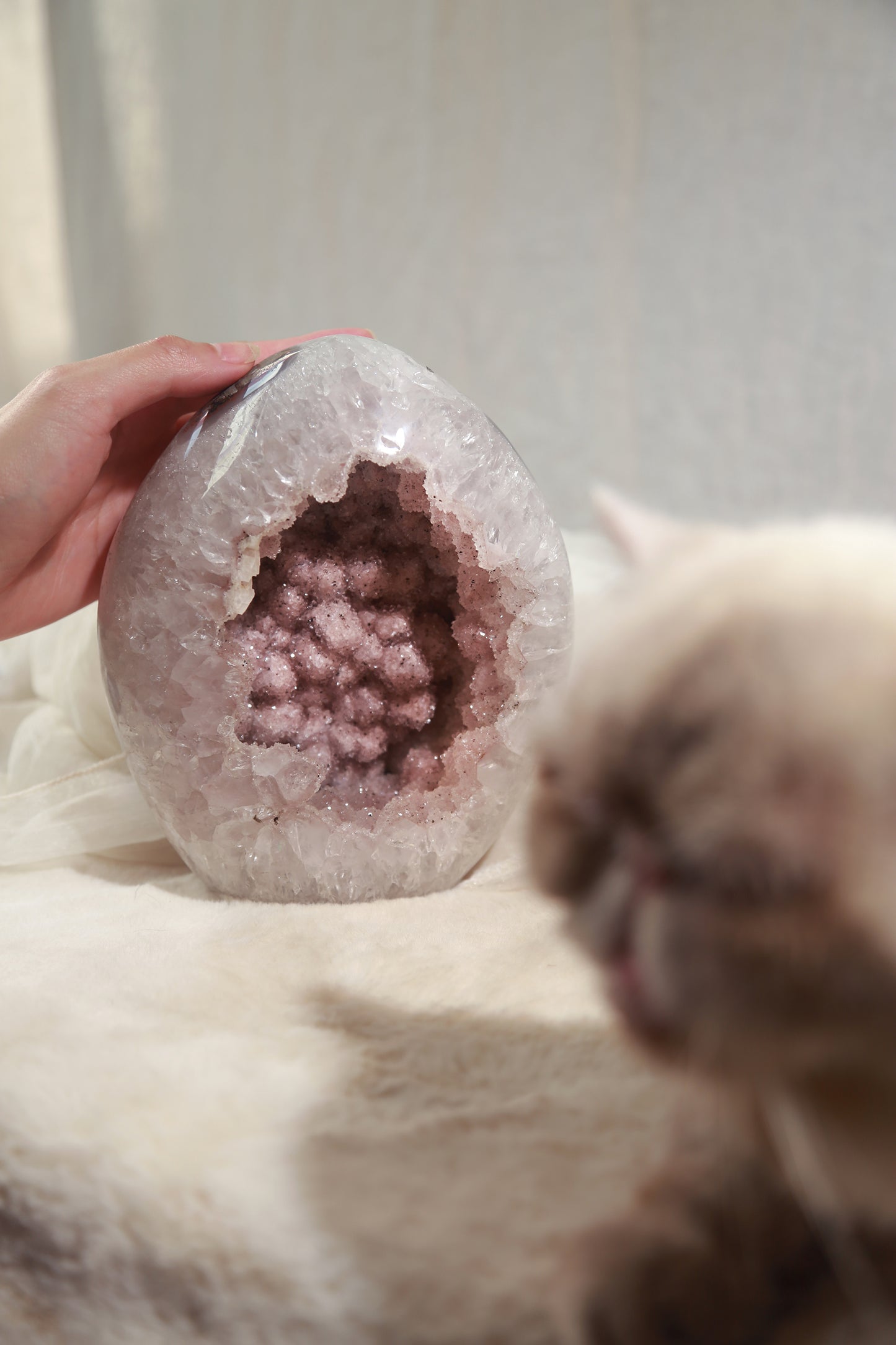 Pink Sugar Druzy Rainbow Amethyst Large Freeform