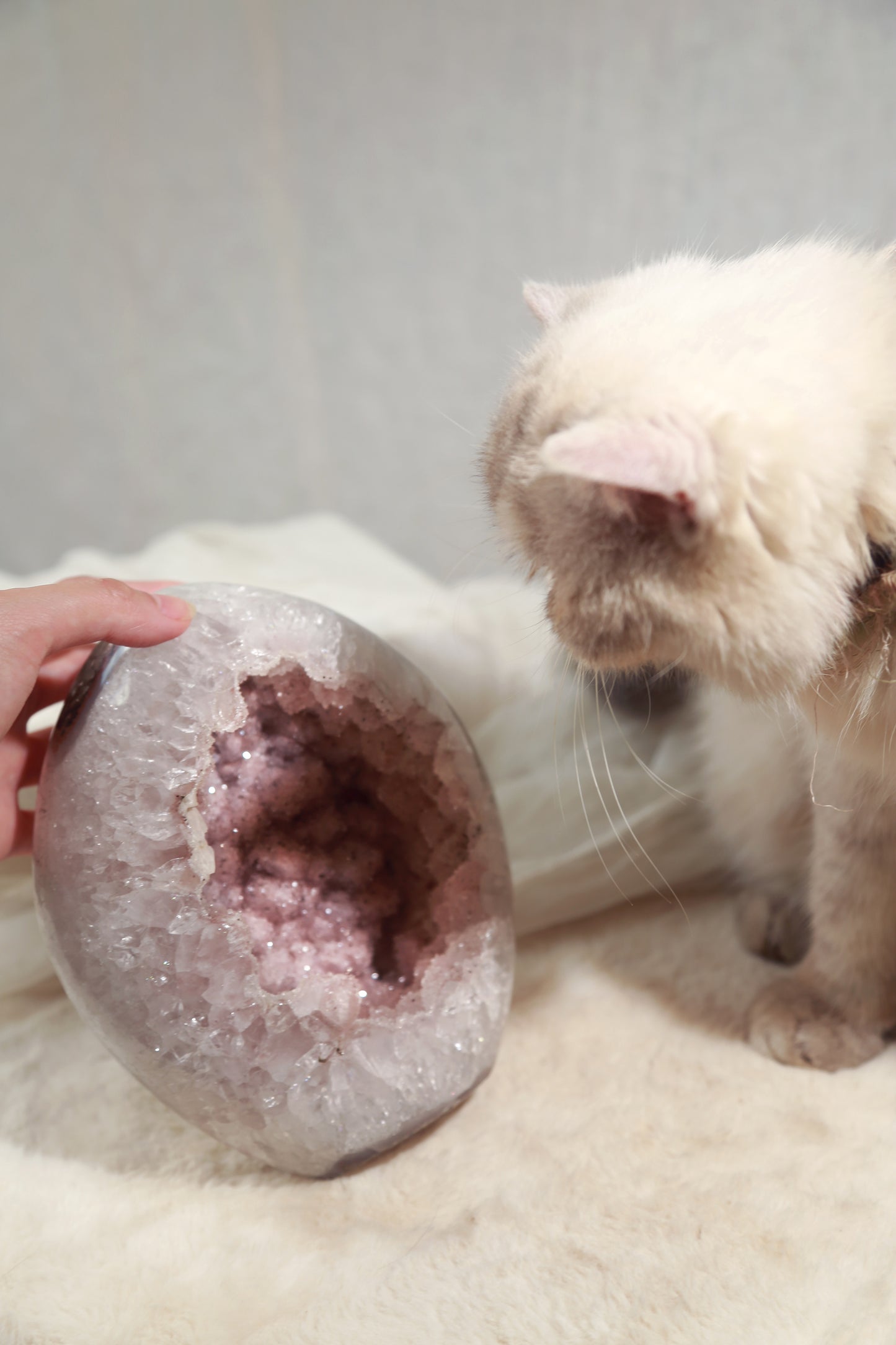Pink Sugar Druzy Rainbow Amethyst Large Freeform