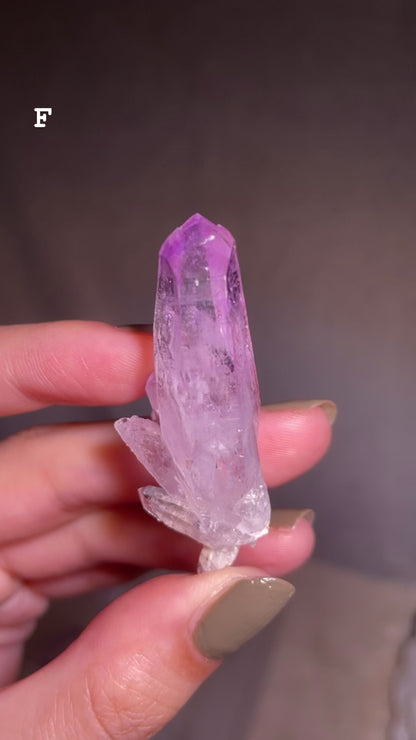 Vera Cruz Amethyst Cluster [S]
