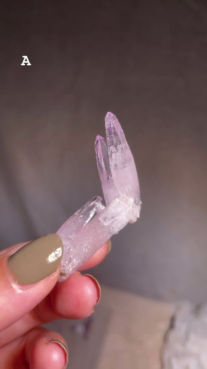 Vera Cruz Amethyst Cluster [S]