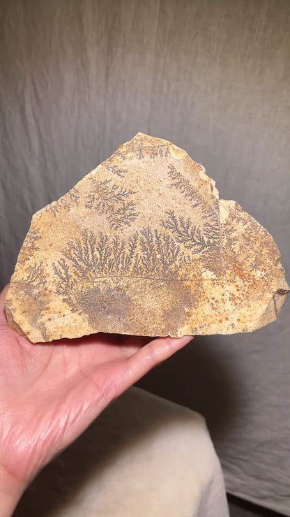 Dendritic Picture Stone Raw Specimen