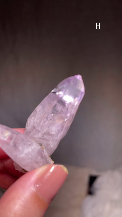 Vera Cruz Amethyst Cluster [S]