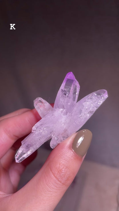 Vera Cruz Amethyst Cluster [S]