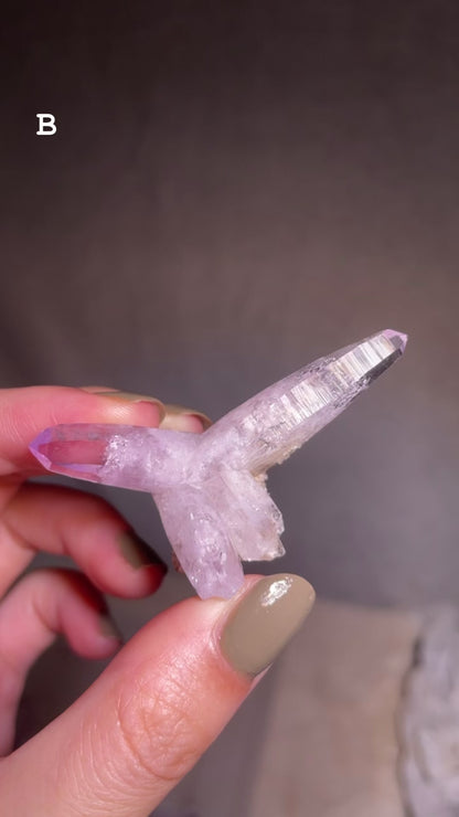 Vera Cruz Amethyst Cluster [S]