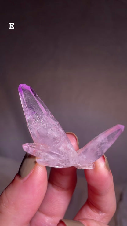 Vera Cruz Amethyst Cluster [S]