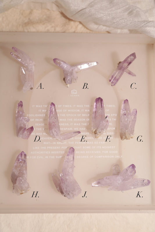 Vera Cruz Amethyst Cluster [S]