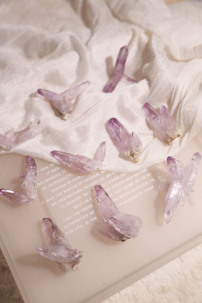 Vera Cruz Amethyst Cluster [S]