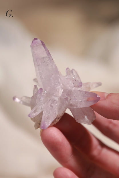 Vera Cruz Amethyst Cluster Flower