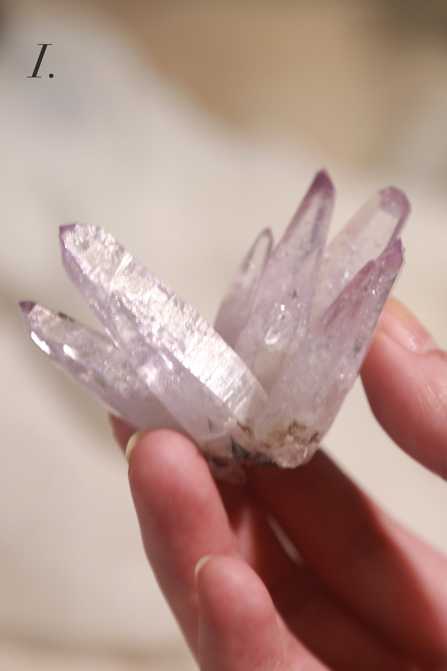 Vera Cruz Amethyst Cluster Flower