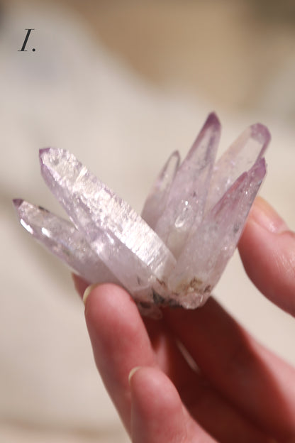 Vera Cruz Amethyst Cluster Flower