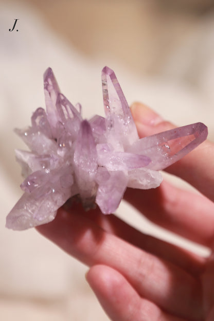 Vera Cruz Amethyst Cluster Flower