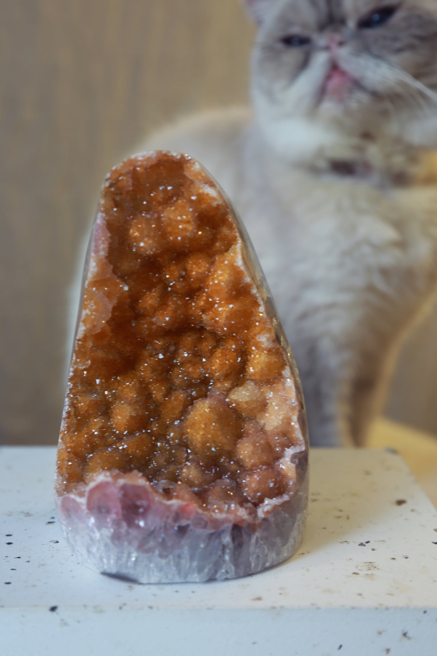 Yellow Golden Druzy Sugar Amethyst Geode Cutbase